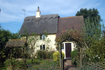 Rose Cottage August 2009